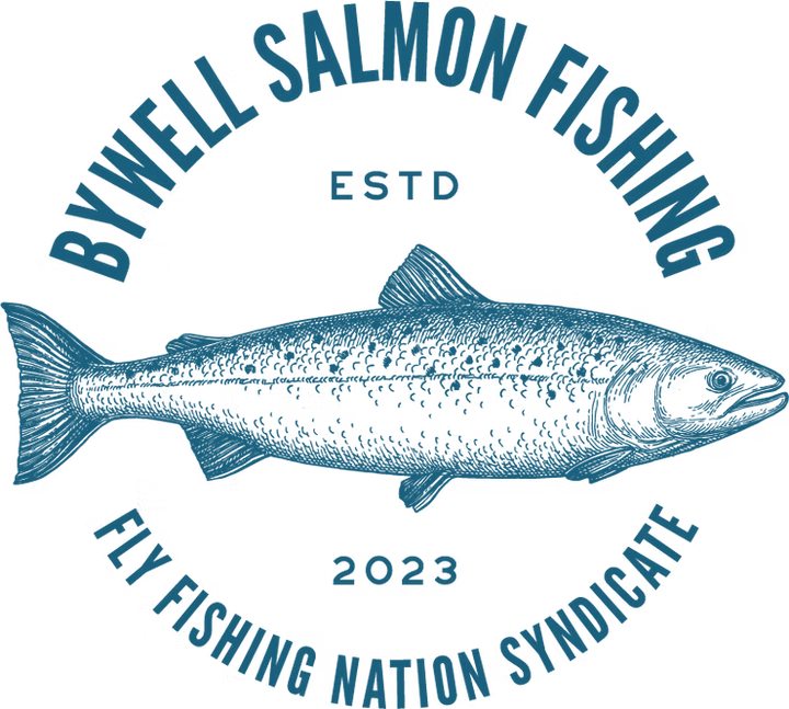 A warm 2024 welcome