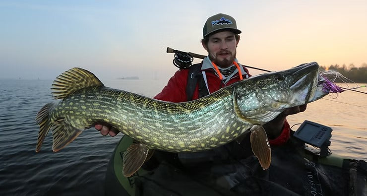 Mastering Pike Fly Fishing from a Belly Boat: Essential Gear and Tips for Success