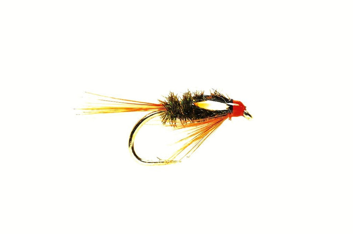 DIAWL BACH HOT HEAD SPECIAL