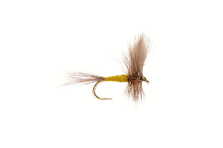 Fulling Mill BWO (Blue-Winged Olive) By The Northern Fishing Co.