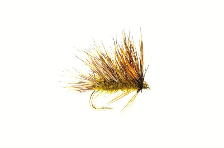 Fulling Mill Sedgehog Olive