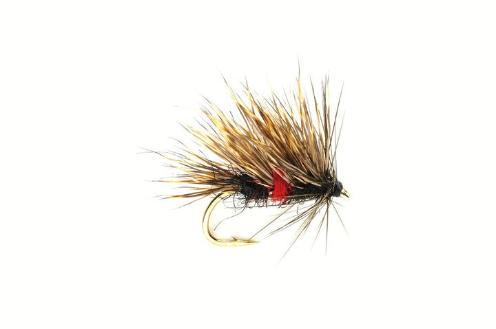 Fulling Mill Sedgehog Bibio