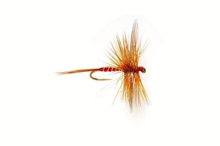 Fulling Mill Lunn's Particular By The Northern Fishing Co.
