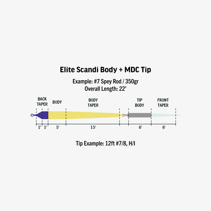 RIO Elite Scandi MDC Kit — Short