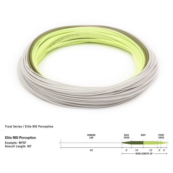 RIO Elite Perception Fly Line - taper diagram