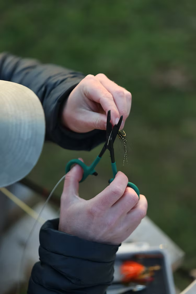 NFS Scissor Forceps img 3