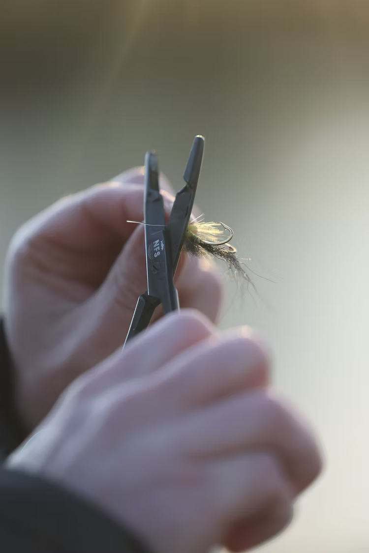NFS Scissor Forceps