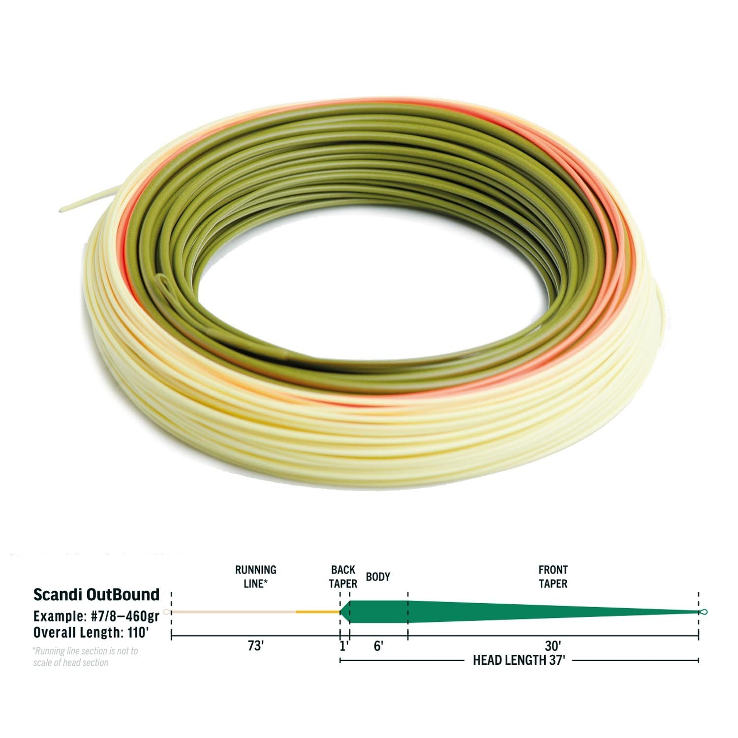 RIO Elite Scandi OutBound Spey Fly Line - spool detail