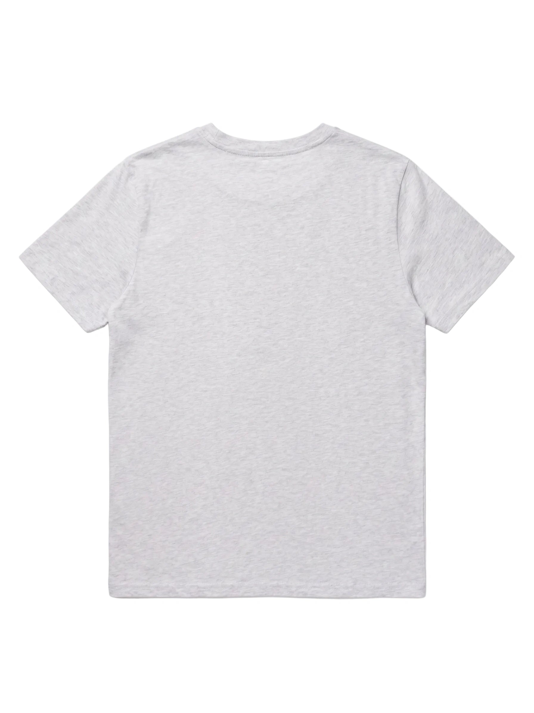 Calvin Shrimp Salmon Fly Tee in Heather Grey (UNISEX) By The Northern Fishing Co. 2